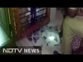 Bomb Thrown At BJP Office In Thiruvananthapuram Nobody Injured