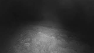 Punta Planka, Croatia - Live panorama view live webcam