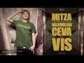 Mitza feat. Maximilian - Ceva de vis 