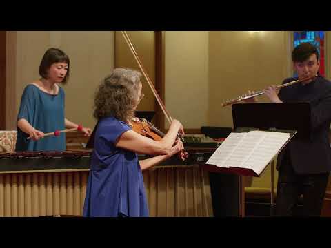 Davide Verotta - Tsure - Haruka Fujii Trio