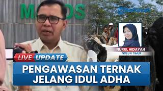 Pengawasan Hewan Ternak Diperketat Jelang Idul Adha di Maros, Kurban Akan Dipastikan Kondisi Sehat