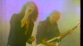 Msg - Armed Lady (Armed And Ready)