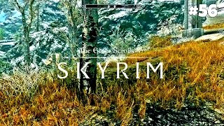 The Elder Scrolls V: Skyrim Special Edition - Прохождение #56: Забытая долина