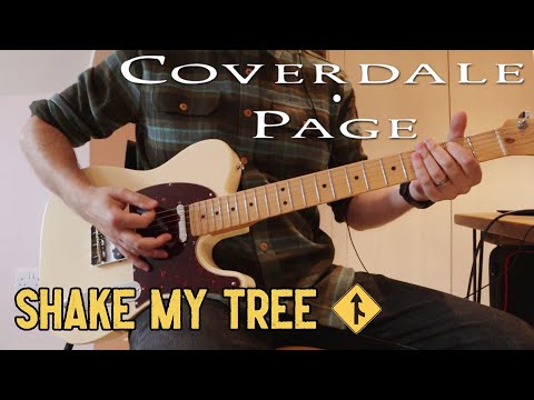 Coverdale · Page - Shake My Tree (Guitar Cover)