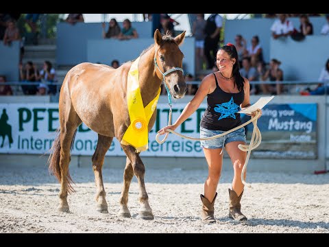 MUSTANG MAKEOVER Champion 2019