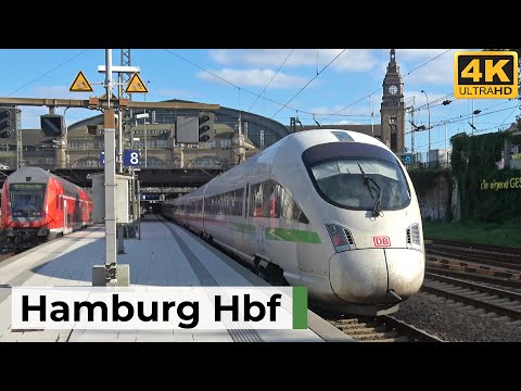 Hamburg Hbf 16.08.2025 - Vielfältiger Bahnverkehr mit ICE, RE, S-Bahn & Fernzügen