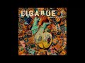 Dedicato A Noi Ligabue Full Album