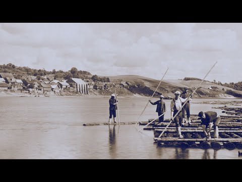 Maršrutas nr. 49 - Vilkija