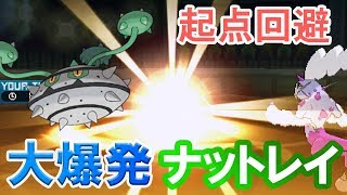 レート日記 ♯11 大爆発しようよ！【ポケモンSM】