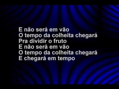 O tempo da colheita video