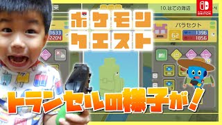 【ポケモンクエスト】トランセルの様子が・・・！