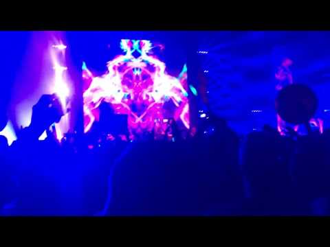 Axwell & Shapov "Belong" @ Axtone stage, Tomorrowland 2016