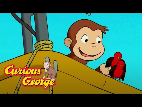 George goes up, up and away! ???? Curious George ???? Kids Cartoon ???? Kids Movies ???? Videos for Kids