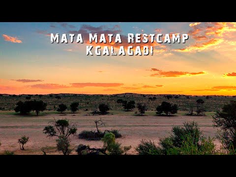Mata Mata Camp in the Kgalagadi Transfrontier Park - Kgalagadi Photography
