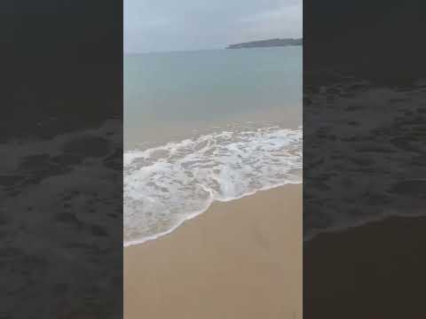 Feel the Vibes😌 #julieanne #beach #beachlife #beautifulnature