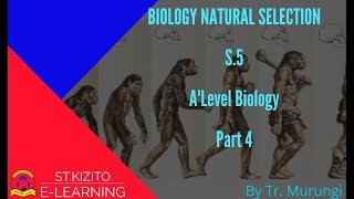 BIOLOGY NATURAL SELECTION PART 4