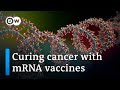 Could COVID vaccine technology cure cancer? | DW News