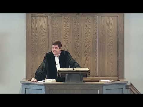 De bekende neuroloog professor Dick Swaab heeft een boek geschreven "Wij zijn ons brein". Is dat zo?