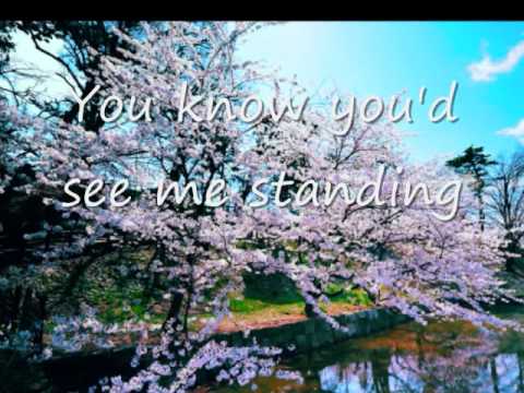 Beyond The Tears video