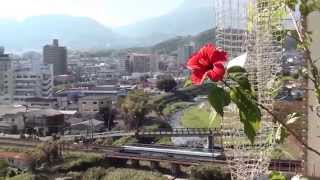preview picture of video 'Hibiscus n Beppu port'