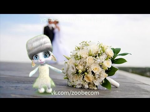 Zoobe Зайка Свадьба!