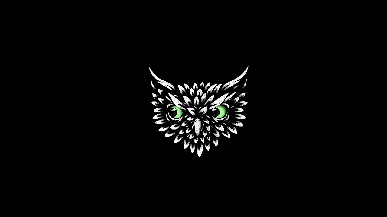 Animated Owl Head Live Wallpaper
