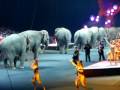 Ringling Brothers Circus