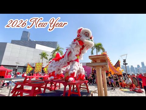 2026 New Year's Day Lion Dance, Hong Kong #香港元旦 #香港龍獅節 #舞獅表演 #世界龍獅日