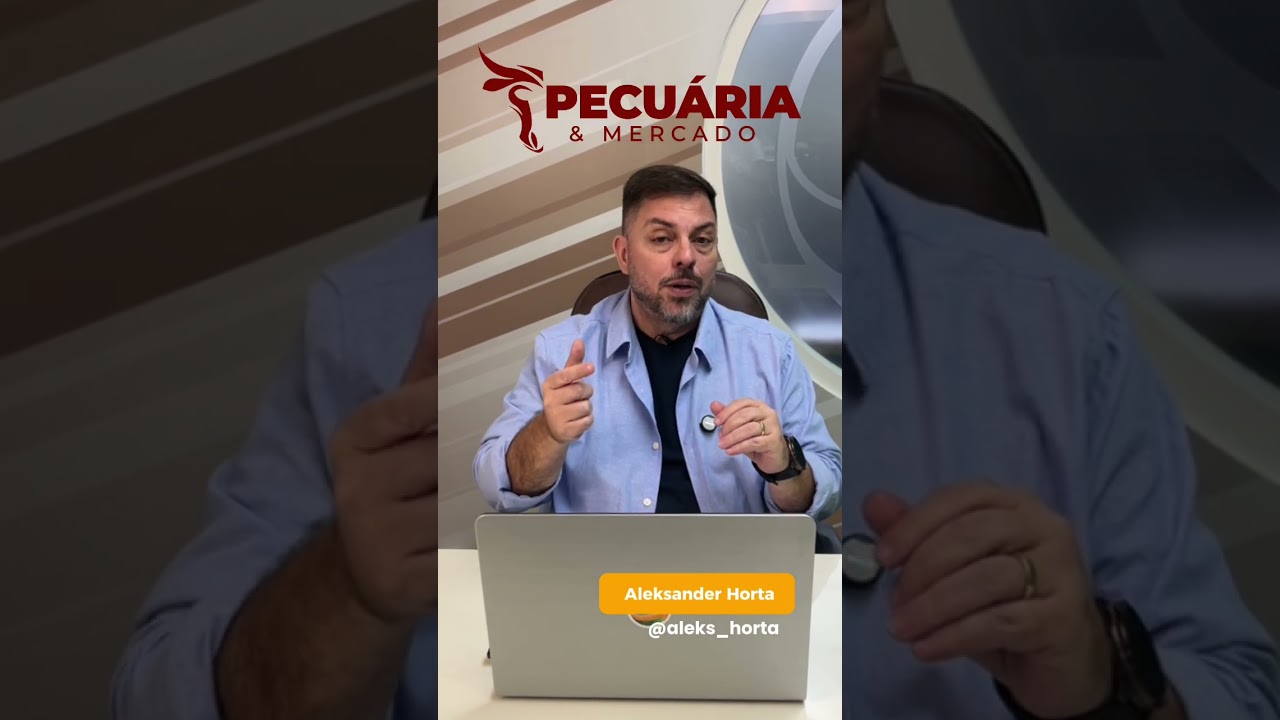 Arroba do boi de R$400 para Boi Gordo está mais próximo da realidade #arrobadoboi #pecuária #boi