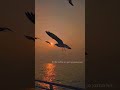 Waqt Hi Toh Hai Guzar Jayega New Motivation WhatsApp Status Video