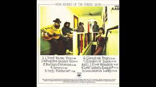 New Riders of the Purple Sage - All I Ever Wanted (1970)