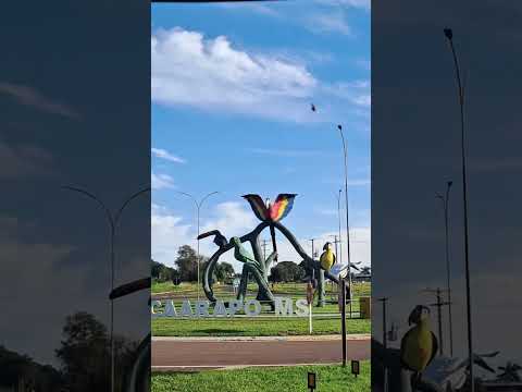 Caarapó-MS. 🛣🦜