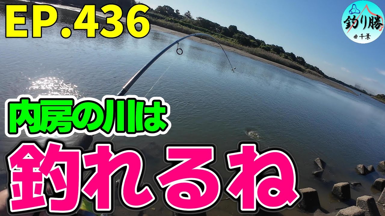 EP.436 内房ブッコミ釣り 2週続けて木更津の小櫃川へ