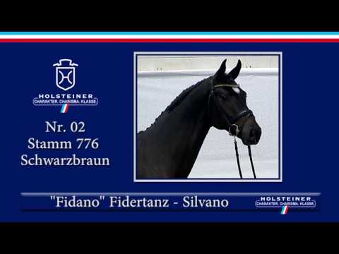 Holsteiner Körung 2019 | Nr. 02 - Fidano