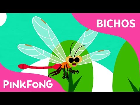 Li-Li-Libélula | Bichos | Pinkfong Canciones Infantiles