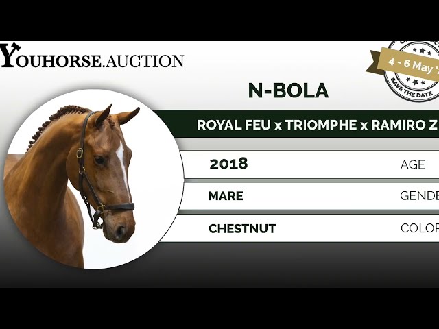 N-Bola 2 weeks under the saddle