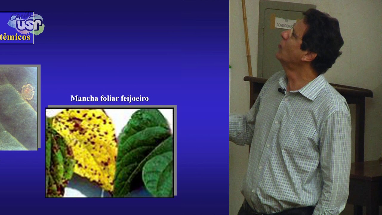 Aula 11 Princípios gerais de controle de doenças de plantas (2/2)