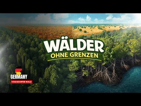 SDW  Hamburg:  Video Brüder Grimm Stadtteilschule in  Volksdorfer Wald    EN Subs