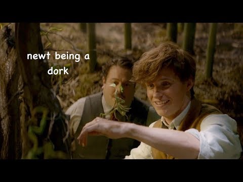 newt scamander being a dork for 3 minutes straight