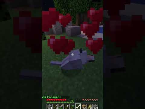 "Unbelievable Minecraft Survival (Must See!)" #viral #gaming