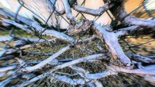 Pillar Sometimes (Warning may cause seizures)