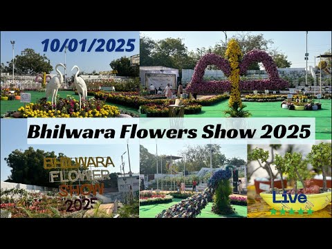 The 2nd Grand Bhilwara Flower 🌼Show 2025🌼Live  भीलवाड़ा फ्लावर शो 2025 Live