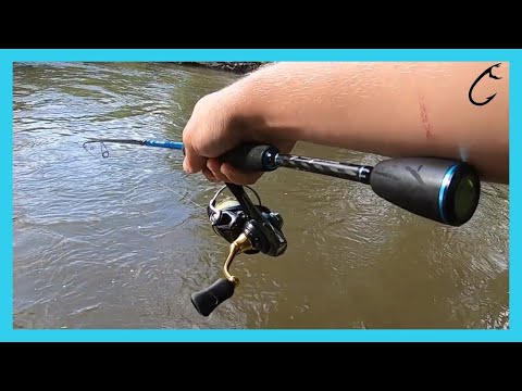 Ultra light mud river chub fishing with lures spinning with micro spinners - Ultralight chub fishing