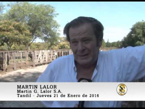 21-01-16 Nota Martin Lalor - Martin G. Lalor S.A. - Tandil.