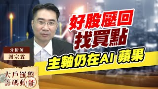 好股壓回找買點 主軸仍在AI 蘋果 (圖)