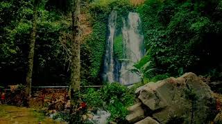 Download lagu Story wa lagu banyuwangi mp3