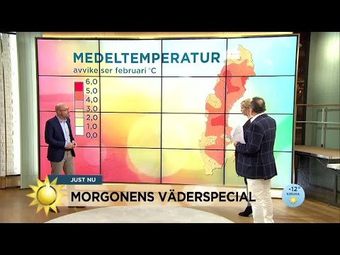 Så var vädret i februari - Nyhetsmorgon (TV4)
