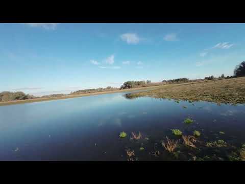 Flying drone over Represa Canelón Grande (Canelones)