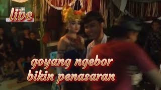 Download lagu joged bumbung'ngebor 'live  antagana desa tiyinggading tabanan mp3