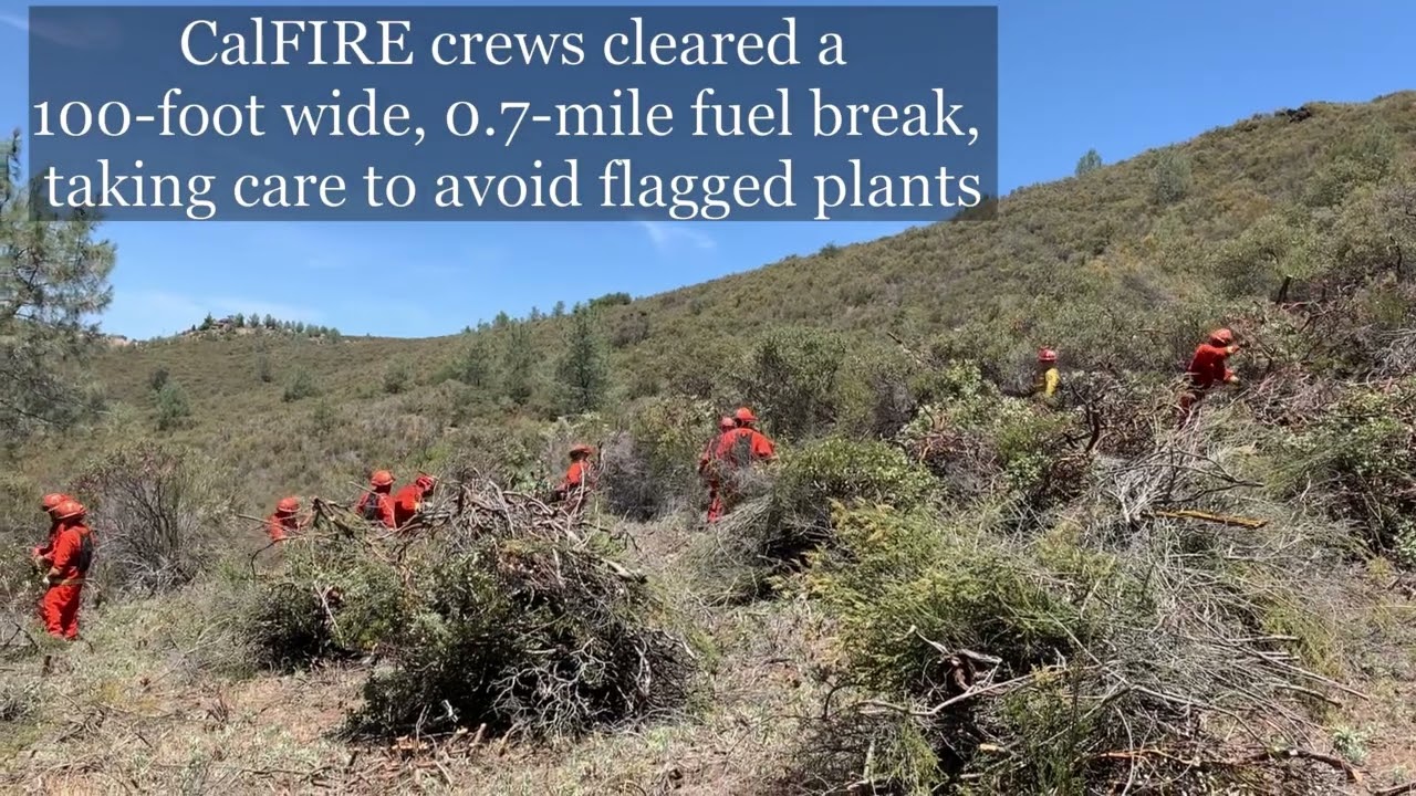 Wildfire Resilience Program - CDFW - PHER fuelbreak2021 720p